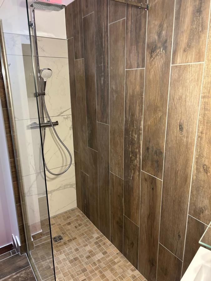 Chambre La Suite Pres Gare Grenoble Luaran gambar